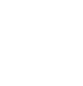 it serwis logo biale