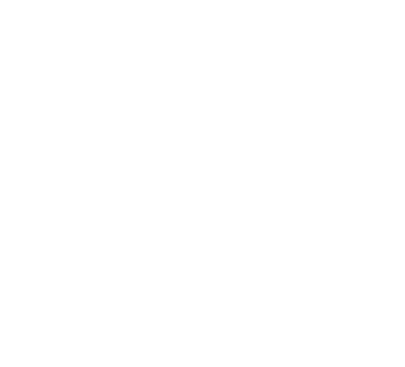 logo it serwis transparent biały
